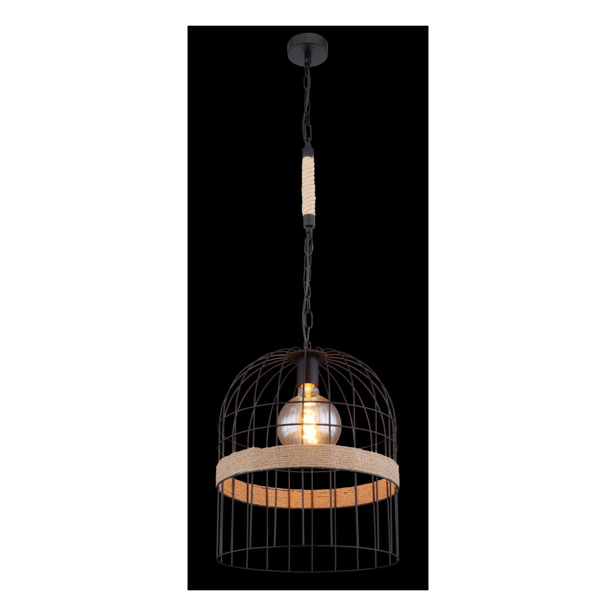 Industriële hanglamp met zwarte metalen kooikap en touwaccent, vooraanzicht met zichtbare LED filamentlamp, hangend aan zwarte ketting en plafondplaat.