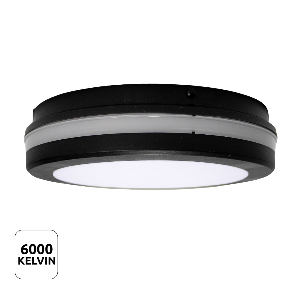 Zwarte ronde LED plafondlamp met witte diffuser en 6000 Kelvin koud wit licht, schuin vanaf onderen weergegeven.