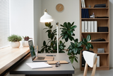 Moderne en minimalistische thuiskantoorinrichting met een grijs bureau, opengeklapte laptop, notitieboekjes, bril en pen, omringd door kamerplanten, houten boekenplank en een witte bureaulamp – zijaanzicht met natuurlijk licht van links.