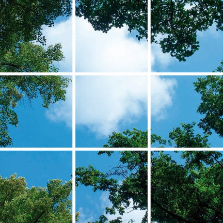 Wolk-bos plafond | Fotoprint | verdeeld over 9 panelen | 60x60cm