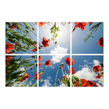 Klaprozen plafond | Fotoprint | verdeeld over 6 panelen | 60x60 cm