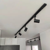 Zwart plafondrailsysteem met verstelbare cilindervormige spotlampen, gemonteerd aan het plafond in een moderne interieursetting, gezien vanuit een diagonaal onderaanzicht.