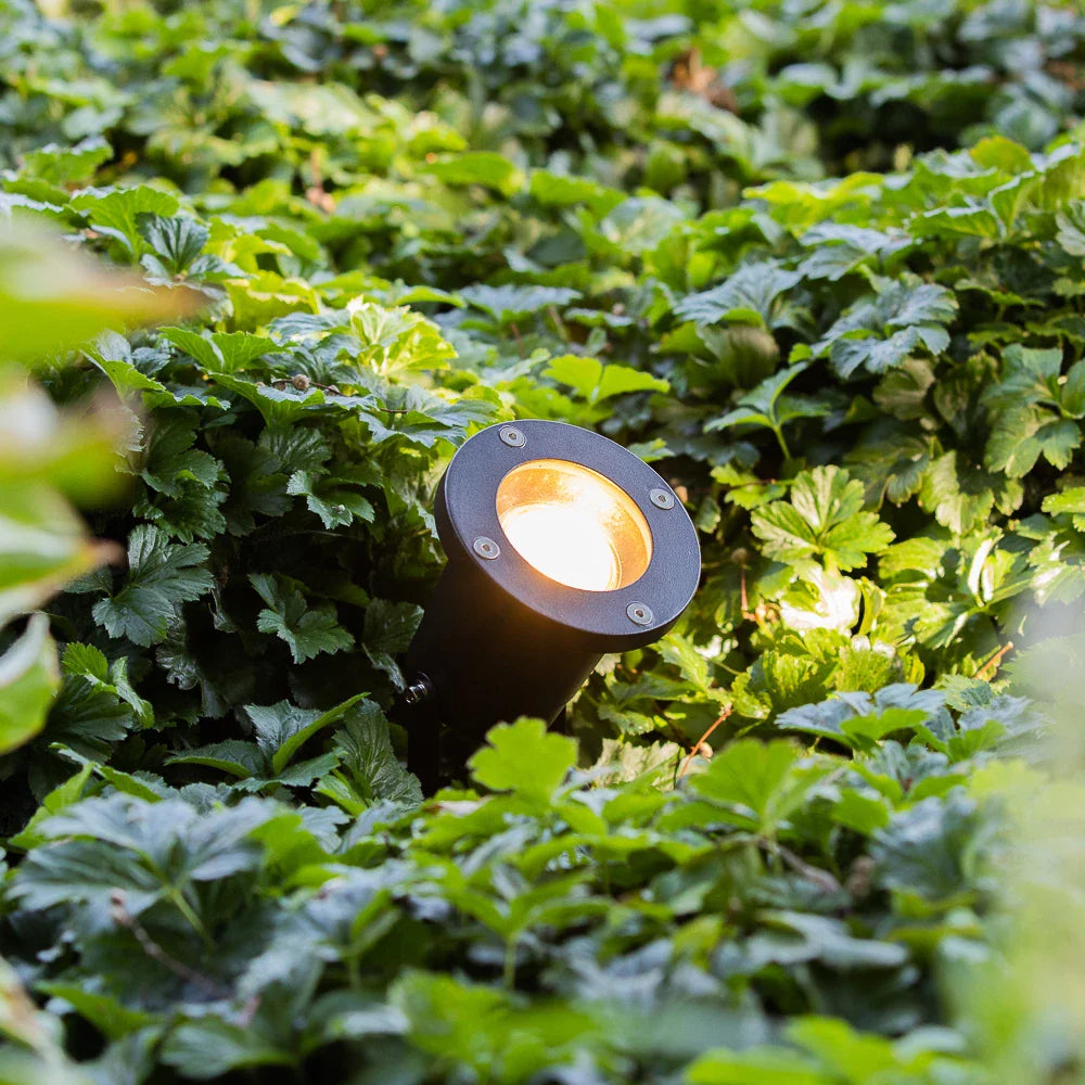 Zwarte grondspot LED tuinverlichting met warme gloed, geplaatst tussen dicht groen blad, vanuit schuin zijaanzicht gefotografeerd.