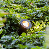 Zwarte grondspot LED tuinverlichting met warme gloed, geplaatst tussen dicht groen blad, vanuit schuin zijaanzicht gefotografeerd.