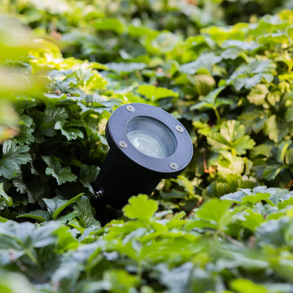Close-up van een zwarte tuinspot geïnstalleerd tussen groene bladeren in een tuin, met zicht op de bovenkant van de lamp en het glazen afdekscherm.