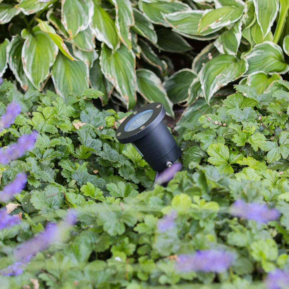 Zwarte tuinspot met ronde afwerking, schuin geplaatst tussen groene bodembedekkers en sierplanten, bovenaanzicht in een natuurlijke tuinomgeving.