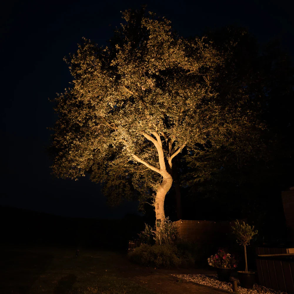 Boom verlicht door een krachtige tuinspot in een donkere tuin, gefotografeerd in vooraanzicht tijdens de nacht voor het tonen van de lichtopbrengst en sfeer van buitenverlichting.