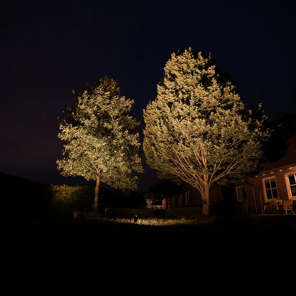 Twee grote bomen in een tuin worden 's nachts van voren beschenen door krachtige buitenverlichting, wat een sfeervol en helder lichteffect creëert tegen een donkere hemel.