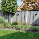 Grijze houten schutting met geïntegreerde zwarte wandlampen, gezien vanaf de zijkant in een zonnige tuin met groene beplanting, vaste planten en een boom op een verhoogd plantenbed tegen de schutting.