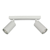 Witte plafondspot met twee verstelbare cilindervormige LED-lampen, vooraanzicht van modern en minimalistisch design.