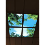 Wolk-bos plafond | Fotoprint | verdeeld over 6 panelen | 60x60cm