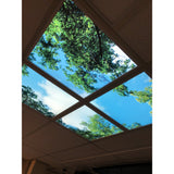 Wolk-bos plafond | Fotoprint | verdeeld over 9 panelen | 60x60cm