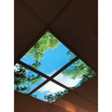 Wolk-bos plafond | Fotoprint | verdeeld over 9 panelen | 60x60cm