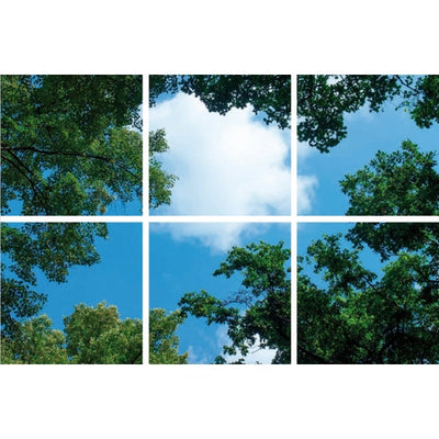 Plafondtegel met afbeelding van een blauwe lucht en groene boomtoppen, verdeeld over zes panelen, gezien vanuit een opwaarts perspectief.
