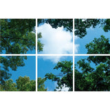 Wolk-bos plafond | Fotoprint | verdeeld over 6 panelen | 60x60cm