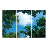 Wolk-bos plafond | Fotoprint | verdeeld over 3 panelen | 1195 x 595 mm