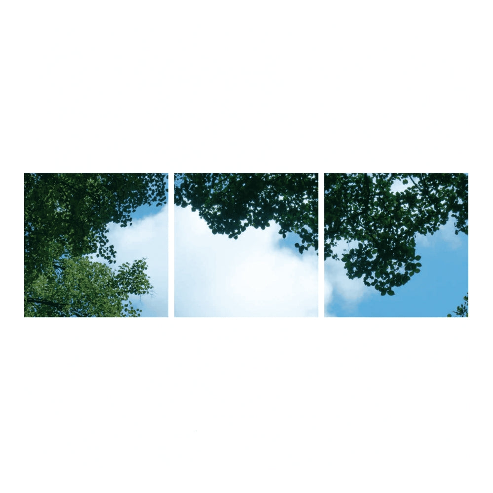 Wolk-bos plafond | Fotoprint | verdeeld over 3 panelen | 60x60cm