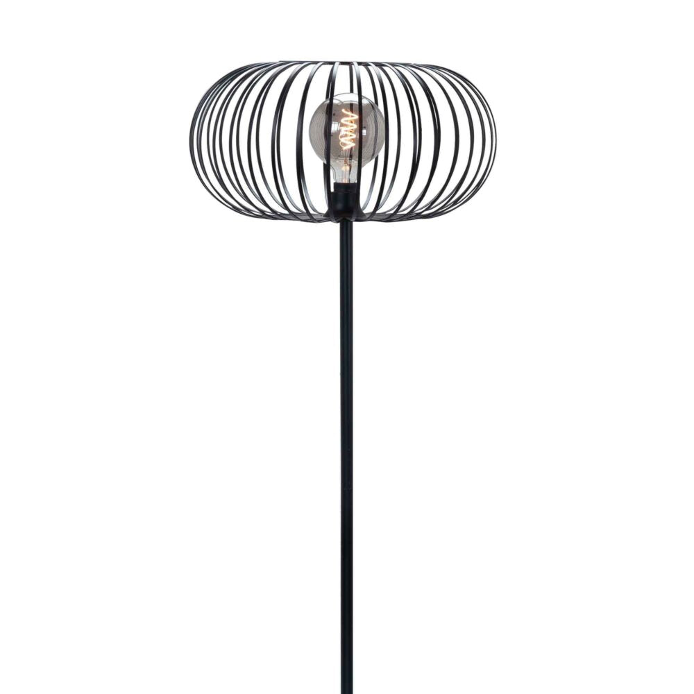 Staande lamp met zwarte metalen draadkap in een ovale vorm, zichtbaar vanaf de voorzijde, met een centraal geplaatste decoratieve gloeilamp.