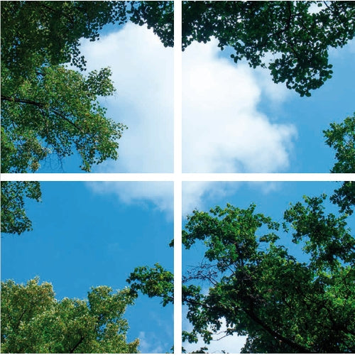 Wolk-bos plafond | Fotoprint | verdeeld over 4 panelen | 60x60cm